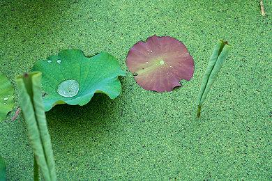 IGN痛批微软：这一代的Xbox只会被人记住两个字——贪婪！